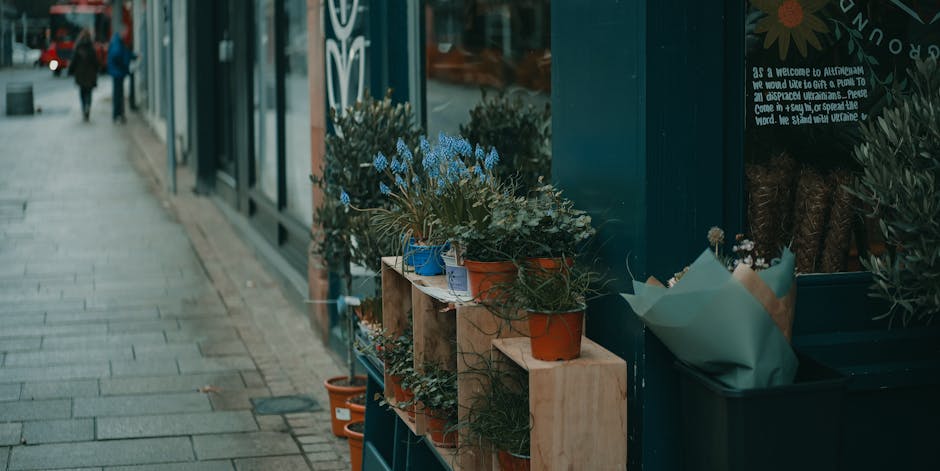 A display of potted plants arranged on wooden shelves outside a flower shop, featuring flowering plants with blue and green foliage in terracotta and blue pots, set against a dark green and black stor